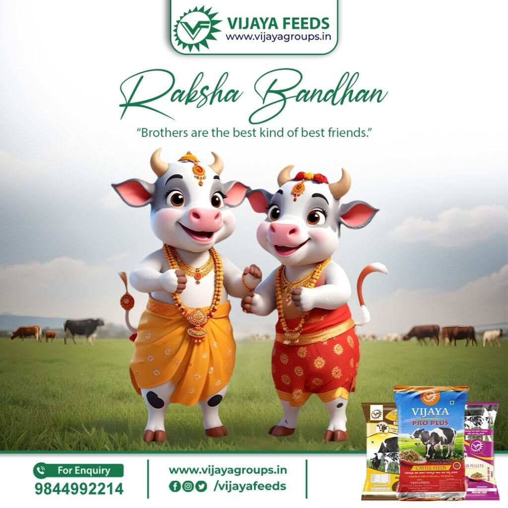 Vijaya Feeds